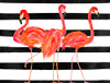 Fondly Flamingo Trio on Stripe Poster Print - Julie DeRice # VARPDX17769DA