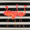 Fondly Flamingo Trio Square on Stripe Poster Print - Julie DeRice (12 x 12)