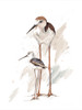 Stilt Birds I Poster Print - Patricia Pinto (12 x 16)