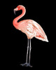 Flamingo on Black I Poster Print - Patricia Pinto # VARPDX11723AF