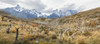 Patagonia Panorama III Poster Print - Danny Head (36 x 15)