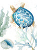 Tortuga Azul Ascend Poster Print - Patricia Pinto (24 x 32)