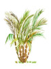 The Palm IV Poster Print - Julie DeRice (12 x 16)