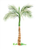 The Palm II Poster Print - Julie DeRice (12 x 16)