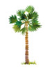 The Palm III Poster Print - Julie DeRice (24 x 32)