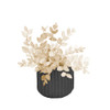 Neutral Decorative Plant II Poster Print - Lanie Loreth (12 x 12)