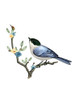 Spring Song 1 Poster Print - Ann Bailey
