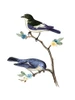 Spring Song 2 Poster Print - Ann Bailey