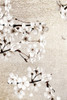 Neutral Magnolia Branches 2 Poster Print - Kimberly Allen