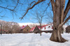 Hokkaido Landscape No.1 Poster Print - Alan Blaustein