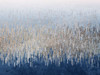 Waves Of Blue Poster Print - Kimberly Allen