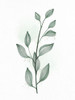 Minimal Greens 2 Poster Print - Kimberly Allen