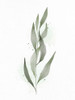 Minimal Greens 3 Poster Print - Kimberly Allen
