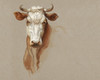 Colman Cow Portrait Study I Poster Print - Samuel Colman