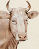 Sepia Sweetie I Poster Print - Grace Popp