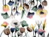 Floral Pleasures 1 Poster Print - Albert Koetsier