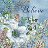 Frosted Winter Woodland V-Believe Poster Print - Sorelle Studios Tre