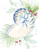 Christmas at the Cape XII Poster Print - Cynthia Coulter