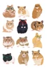 Hamsters Wearing Glasses Poster Print - Hanna Melin