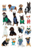 Cool Dogs Poster Print - Hanna Melin