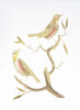 Gold Foil Birds I with Hand Color Poster Print - Nozeman