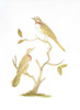 Gold Foil Birds II with Hand Color Poster Print - Nozeman