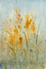 Spray of Wildflowers I Poster Print - Tim OToole