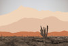 Sunset Joshua Poster Print - Norm Stelfox