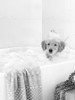 Bath Time Lab Poster Print - Leah Straatsma