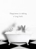 BW Bunny Bath Poster Print - Leah Straatsma