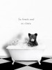 BW Bear Bath So Clean Poster Print - Leah Straatsma