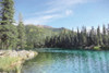 Horseshoe Lake Poster Print - Lori Deiter