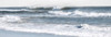 Ocean Panorama Poster Print - Lori Deiter