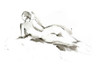 Ink Figure Study IV Poster Print - Ethan Harper