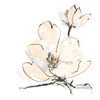 Greige Magnolias II Poster Print - Chris Paschke