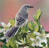 State Bird Florida Poster Print - Kevin Daniel