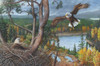 Eagles Eyrie Poster Print - Kevin Daniel