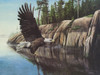 Wings Of The North Poster Print - Kevin Daniel