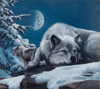 Sleepless Nights Poster Print - Kevin Daniel