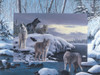 Wolf Cutaway Poster Print - Kevin Daniel