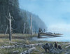 Morning Stroll Poster Print - Kevin Daniel