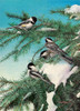 Winter Chicadees Poster Print - Kevin Daniel