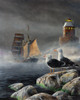 Gulls Poster Print - Kevin Daniel