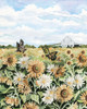 Summer Flower Field Poster Print - Cindy Jacobs