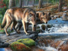 Keen Vigilance Poster Print - Kevin Daniel
