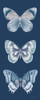 Fragile Wings Butterfly Panel Blue Poster Print - Danhui Nai