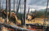The Consequence Of Time Poster Print - Kevin Daniel