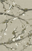 Neutral Cherry Blossoms I Poster Print - Grace Popp