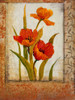Tulip Inset II Poster Print - Tim OToole