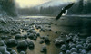 On Eagles Wings Poster Print - Kevin Daniel